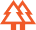 50+ Years Wood Expertise